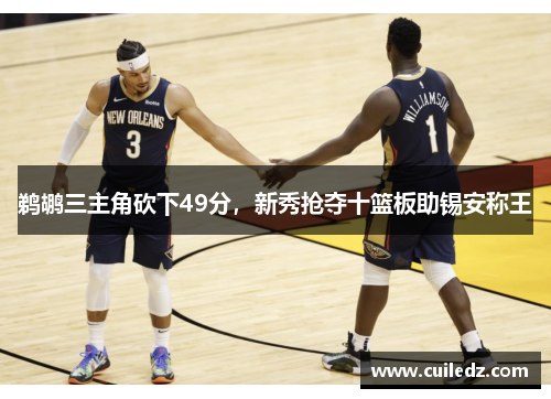 鹈鹕三主角砍下49分，新秀抢夺十篮板助锡安称王